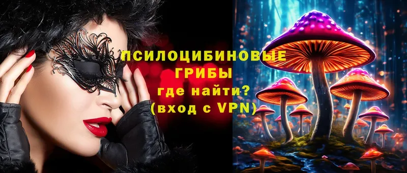 Галлюциногенные грибы прущие грибы  darknet официальный сайт  OMG ТОР  Дудинка  цена  